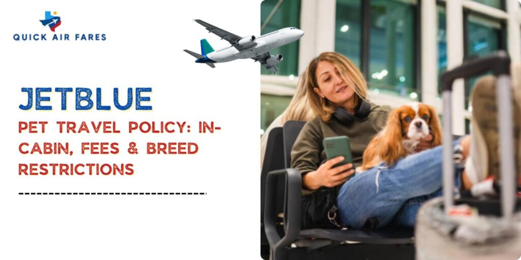 JetBlue Pet Travel Policy